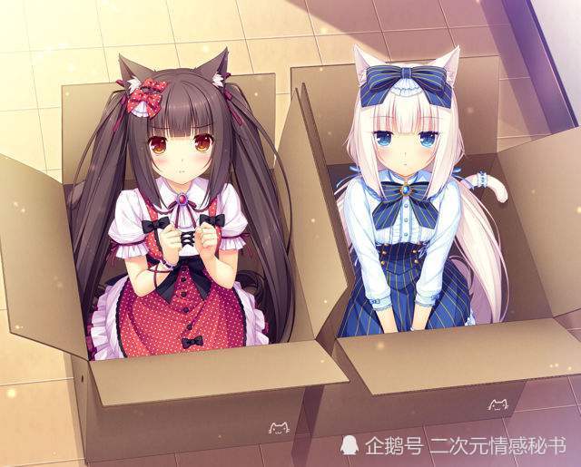 kaiyun网页登录入口：《2019石墨烯技术专利分析报告》在西安发布