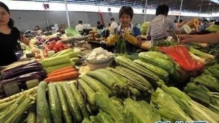 kaiyun网页登录入口