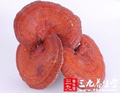 kaiyun网页登录入口